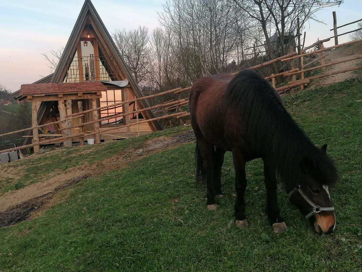 Penzion Ranch At Geta Razgorce Exteriér fotografie