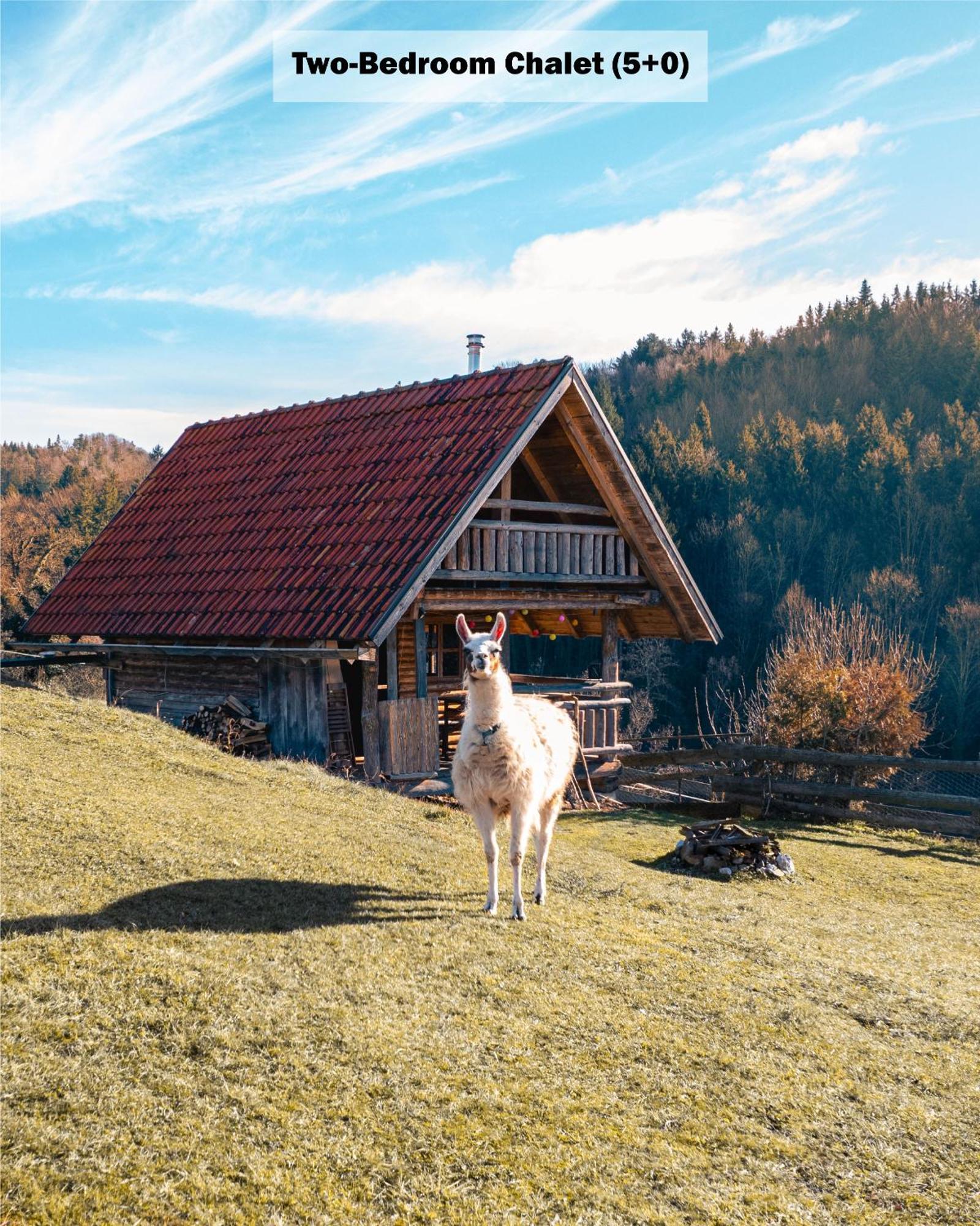 Penzion Ranch At Geta Razgorce Pokoj fotografie